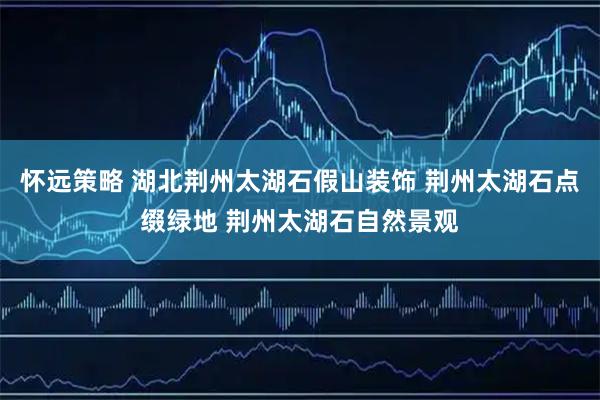 怀远策略 湖北荆州太湖石假山装饰 荆州太湖石点缀绿地 荆州太湖石自然景观