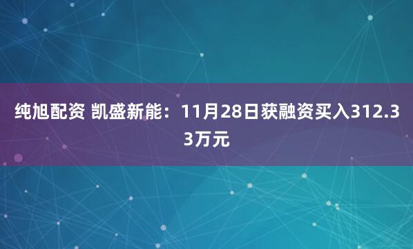 纯旭配资 凯盛新能：11月28日获融资买入312.33万元