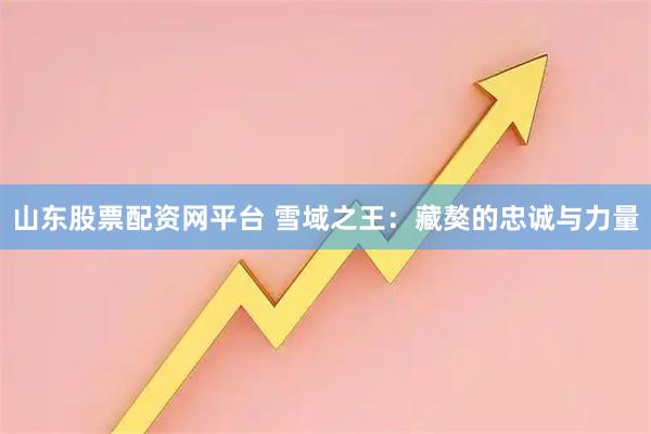 山东股票配资网平台 雪域之王：藏獒的忠诚与力量