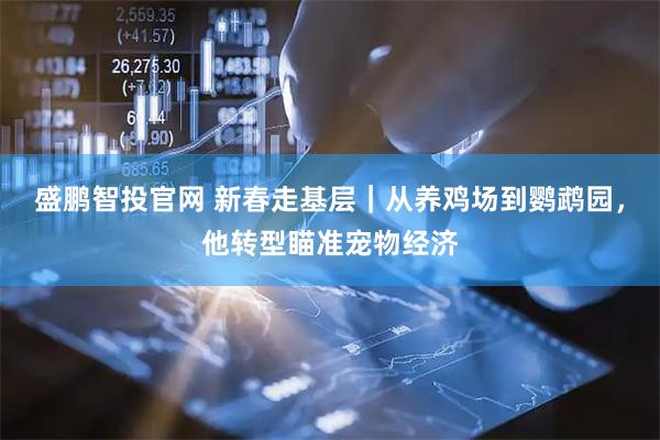 盛鹏智投官网 新春走基层｜从养鸡场到鹦鹉园，他转型瞄准宠物经济